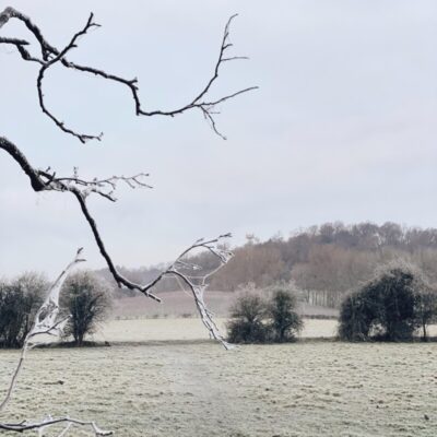 Embracing January